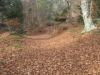 117.Chemin_de_luge_-_LP125.jpg