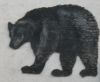 120.Jim_Bean_-_LP174.jpg